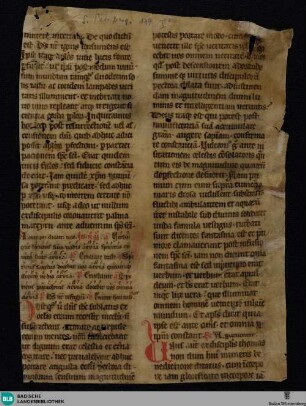 Brevier, Fragment - Cod. St. Peter perg. 137