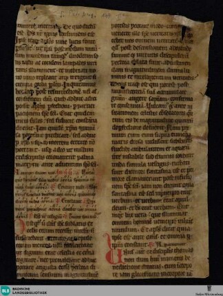 Brevier, Fragment - Cod. St. Peter perg. 137
