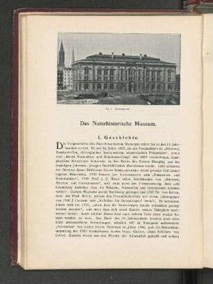 Das Naturhistorische Museum.
