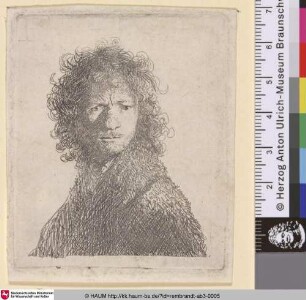 [Selbstbildnis mit gerunzelter Stirn; Self-Portrait, Frowning: Bust; Portrait de Rembrandt faisant la moue]