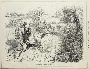 Hunting Ladies again