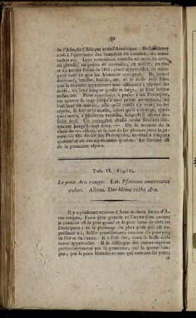 Tab. VI. Fig. 24. - Tab. XIII. Fig. 68.