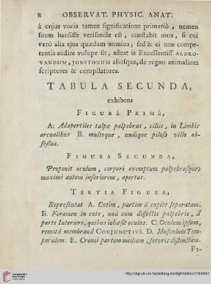 Tabula secunda