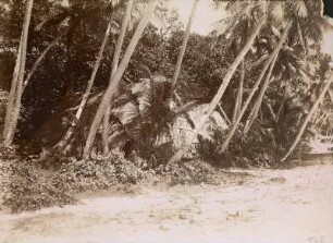 Bootshaus (Hamburger Südsee-Expedition 1908-1910)