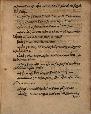 Gymnasium Syriacum, hoc est, linguae Iesu Christo vernaculae perfecta institutio