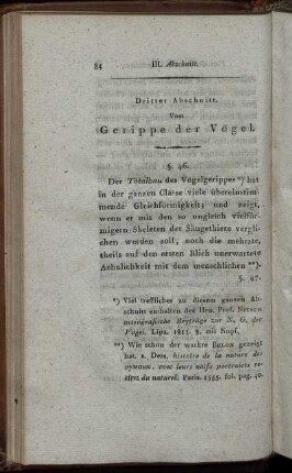 Dritter Abschnitt. Vom Gerippe der Vögel