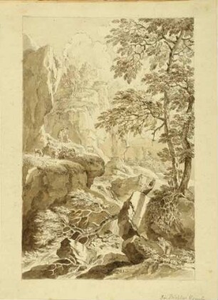 Im Bielatal (Rosenthal-Bielatal) in der Sächsischen Schweiz