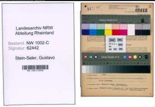 Entnazifizierung Gustavo Stein-Seler, geb. 19.07.1906 (Abteilungsleiter)