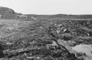 Norwegische Landschaft : Landschaft in Norwegen.