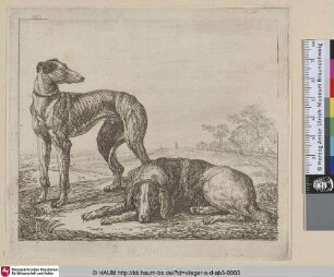 [Windhund und ein liegender Hund; Greyhound and Lying Hound; Le levrier et le chien courant]