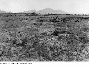 Arizona, Salt River Valley, Wüstenvegetation, Aufnahme, Depart. of the Interior, Washington