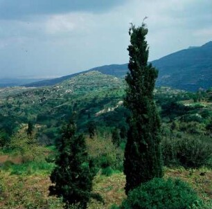 Nea Praisós. Blick von Nea Praisós auf den Akropolis-Hügel