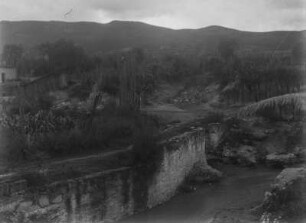 Landschaft mit Kakteen : Eine Landschaft in Mexiko mit zahlreichen Kakteen. Im Vordergrund ein Bach, daneben eine kleine Brücke.