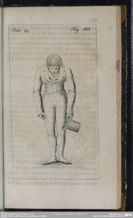 Seite 99. Fig. XVI