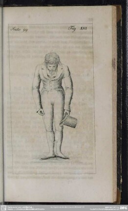 Seite 99. Fig. XVI
