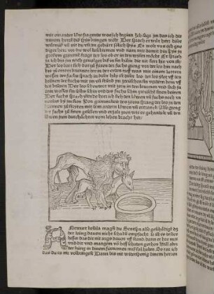 Der Löwe und der Fuchs am Brunnen; (Kapitel II: Von dem Löwen und dem Ochsen)