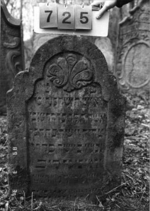 Grabstein 725 (Index: 99751657) Material: Sandstein Zustand: leicht verwittert, Stele eingesunken Maße HxBxT: 84x58x7 cm Beschreibung: Stele, geschweifter Abschluß, Schriftfeld eingetieft Symbolik: Muschel: Grabstein 725