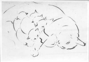 Katzenmutter. Tuschezeichnung (1938; E. Richter). Dresden-Südvorstadt, Eisenstuckstraße, Atelier der Künstlerin