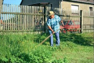 Ernst Große beim Sensen in seinem Garten