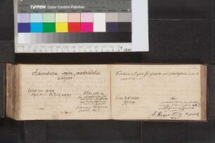 Junius, Johann Friedrich; Blatt 176,2