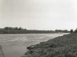 Laußig-Gruna. Muldeniederung. Blick vom Westufer der Mulde flussaufwärts