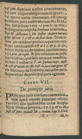 Caput VII. De principiis iuris.