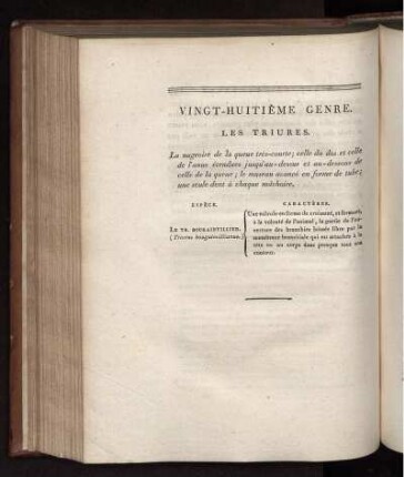 VINGT-HUITIÉME GENRE