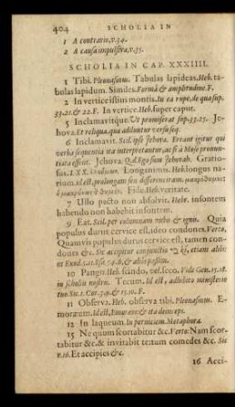 Scholia in Cap. XXXIIII.