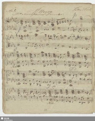 No.8. Anonymus: Allegro