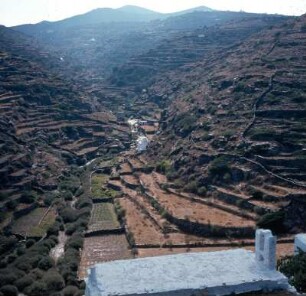 Sifnos. terrassierte Felder. K2