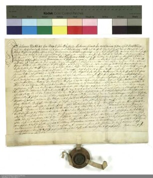 Revers des Johann Matthias von Nagel zu Bisses bezüglich der Belehnung mit dem Dorf und Gericht Bisses und mit Ackerland durch Adalbert [von Schleifras], Abt von Fulda