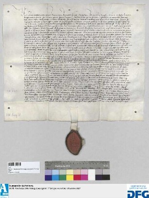 Georius, Abt des Benediktinerklosters St. Egidien in Nürnberg, stellt ein Vidimus aus von der Bestätigungsurkunde des Kaisers Ludwig des Bayers d.d. 12 Juli 1345 für das Kloster Pillenreut.