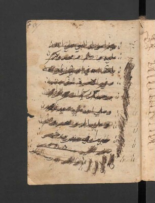 Maulid an-Nabī
