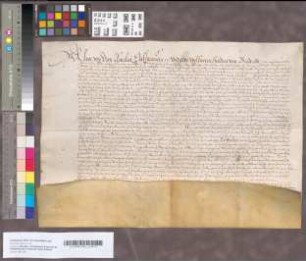 Verdrag tusschen Amelia, Palsgravinne, weduwe van Hendrik van Brederode, en den Prinse van Oranje, over de regeering van Vianen en Ameide, 1 Maart 1582, nadere regeling van den Prinse over verschillende punten, 16 Juni d.a.v., en andere stukken over die zaak, 1581-1583. In het Duitsch, Fransch en Nederlandsch. Het verdrag ist van perkament. 7 stukken.