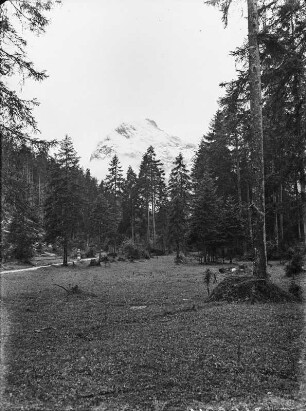 Das Sonnjoch : Blick über eine bewaldete Ebene zum Berg Sonnjoch