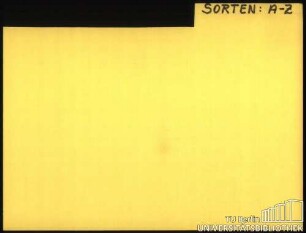 SAXIFRAGA: Sorten