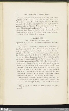 Chapter VII. The Concession Hill Goldfield