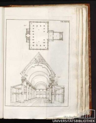 TAB XXXVII