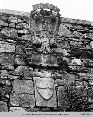 Wappen Siena und der Familie Buoninsegni