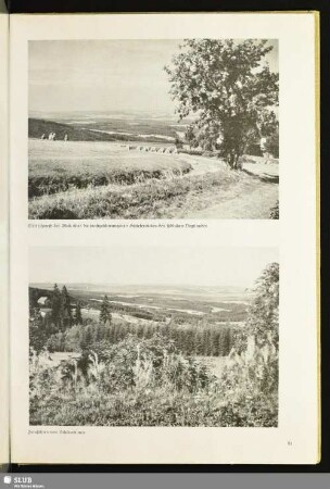 Fernsichten von Schöneck aus