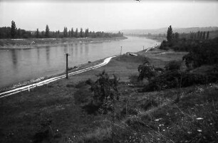 Rheinweiler: Rheinufer, Blick nach Norden