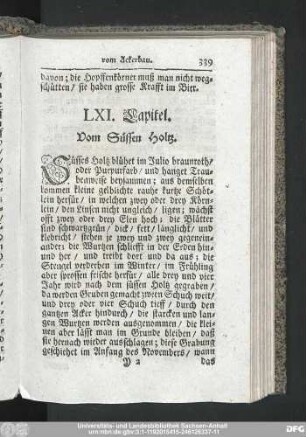 LXI. Capitel. Vom Süssen Holtz.