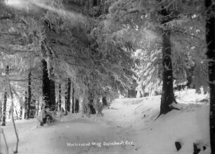 Winterlandschaft am Horizontalweg