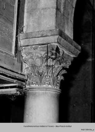 Sant'Alessandro Maggiore, Lucca