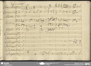 Quintetto: "De' veraci affetti miei"