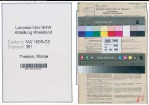 Entnazifizierung Walter Theisen , geb. 10.07.1911 (Prokurist)