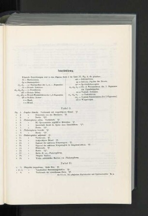 Tafel-Erklärung.