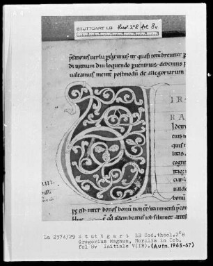 Gregorius Magnus, Moralia in Job — Initiale V(ir), Folio 8verso