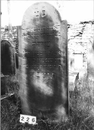 Grabstein 226 (Index: 99629727) Material: Sandstein Zustand: sehr gut Maße HxBxT: 166x69x8 cm Beschreibung: Stele mit eingezogenem Rundbogenabschluß: Grabstein 226