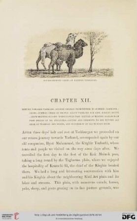 Chapter XII. Return towards Yarkand […]